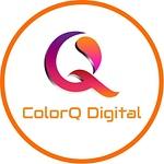 Company ColorQ  Digital