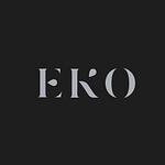 Company EKO Agency