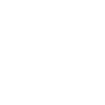 Company DSolutions Group