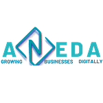 Company Aneda Marketing Agency