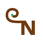 Company The Monkey Network