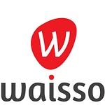 Company WAISSO