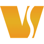 Company Vanguard Solutions