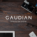 Company Agencia Gaudian