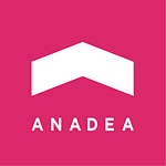 Company Anadea