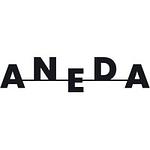 Company Aneda Design Studio