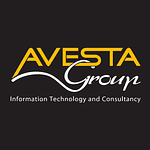 Company Avesta Group