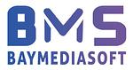 Company Baymediasoft Technologies