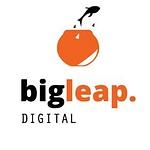Company Big Leap Digital