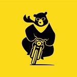 Company Bike Bear
