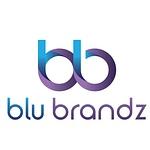 Company BluBrandz Solutions