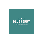 Company Blueberry Consulting Mauritius