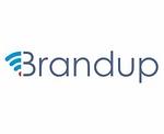 Company Brandup DigiX
