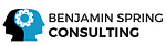 Company BS Consulting