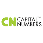 Company Capital Numbers