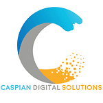 Company Caspian Digital Solutions