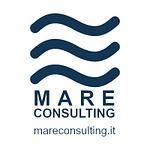 Company Mare Consulting