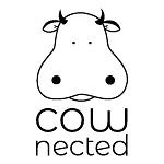 Company cownected sprl