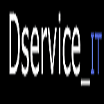 Company Dservice_IT