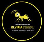 Company Elviria Digital