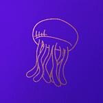 Company Lady Ace Factory