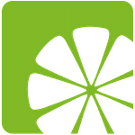 Company LemonMind.com