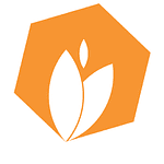 Company Midnay Webware Solutions