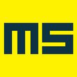 Company MS WEBDESIGN