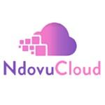 Company NdovuCloud Technologies