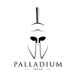 Company Palladium Image