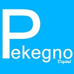 Company Pekegno Digital