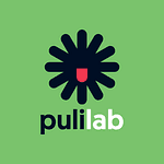 Company Pulilab