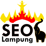 Company SEOLampung