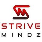 Company Strivemindz