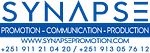 Company SYNAPSE PROMOTION PLC