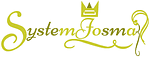 Company systemjosmar