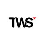 Company Tanzania Web Solutions