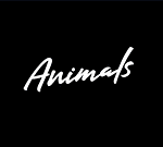 Company The Animals