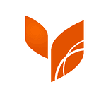 Company WhirlSpot Media