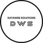 Company dataweb solutions