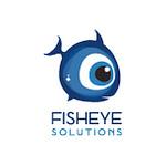 Company Fisheye Solutions