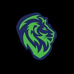 Company The Go-To Guy!