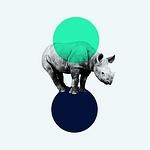 Company ttwwoo design agency