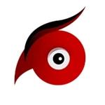 Company Director Mohamed Roshdy