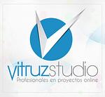 Company Vitruz Studio