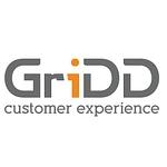 Company GriDD customer experience