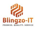 Company Blingzo-IT