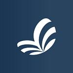 Company Cocoon Creations