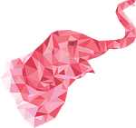 Company Elephant Design