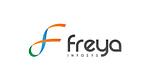 Company Freya Infosys